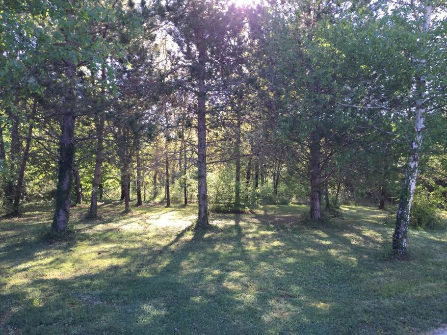 Grande Maison Avec Parc De 6000M2 Pompiey エクステリア 写真