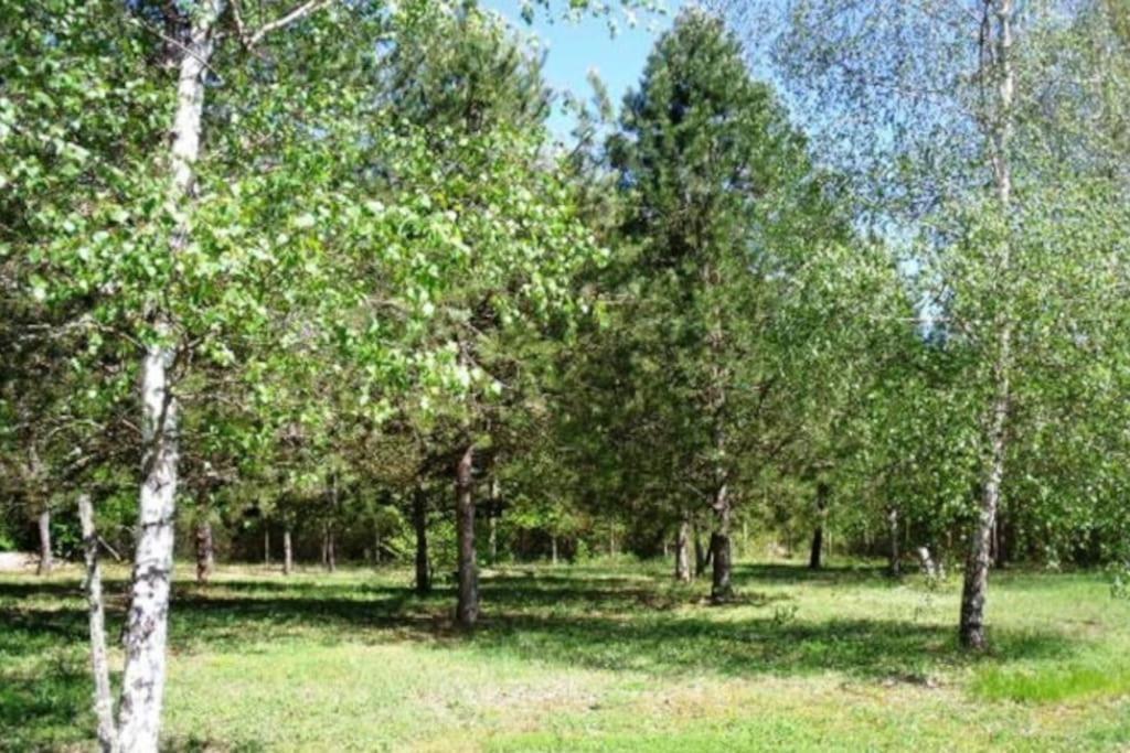 Grande Maison Avec Parc De 6000M2 Pompiey エクステリア 写真
